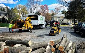 Best Seasonal Cleanup (Spring/Fall)  in Woody, WA