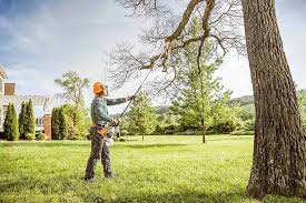 Best Lot and Land Clearing  in Woody, WA