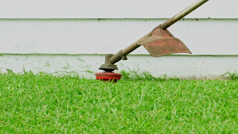 Best Lawn Drainage Solutions  in Woody, WA