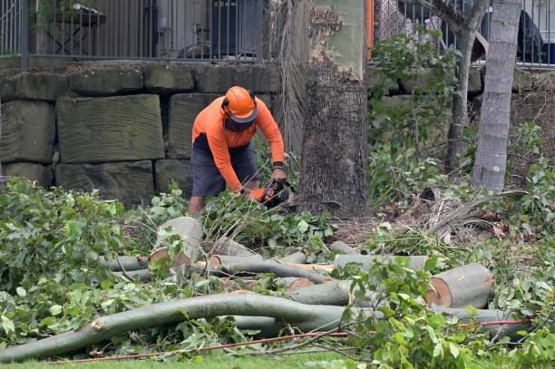 Best Utility Line Clearance  in Woody, WA